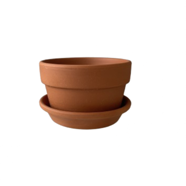 Terra Cotta Clay Pot 9cm x 5.5cm (with drainage hole and saucer)