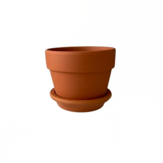 Terra Cotta Clay Pot 7cm x 4.5cm (with drainage hole and saucer)